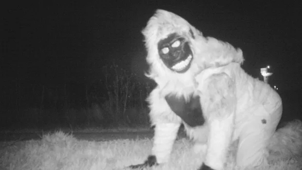 Man in gorilla suit trips a camera trap in Kansas