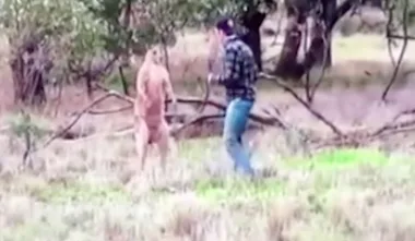 Man punches kangeroo to save his dog trapped in a headlock