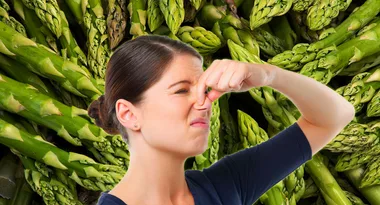 Time to debunk what ‘everyone knows’ about asparagus and wee
