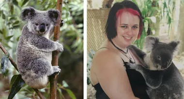 Woman sheds half her body weight after koala tells her she’s fat
