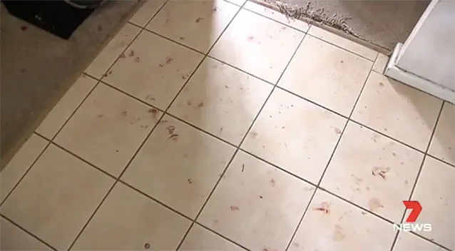 blood splatters on the floor