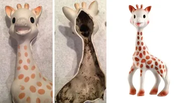 Baby’s teething toy found with MOULD growing inside