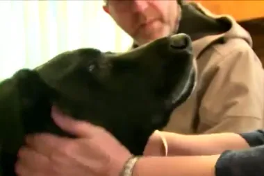 Hero dog saves neighbour who collapses from sudden stroke in back yard