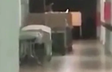 ‘Ghost’ of child caught on video terrifying hospital staff