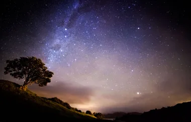 What does your weekly horoscope reveal?
