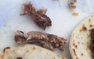Woman’s gross photo of ‘teeth’ in her beef tacos goes viral
