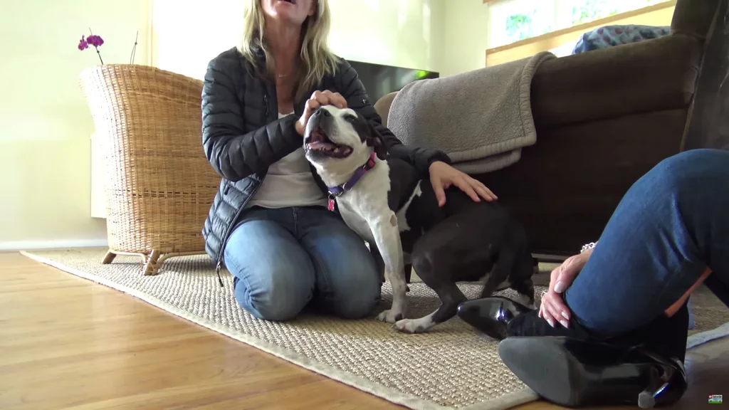Leesa happy in her foster home.