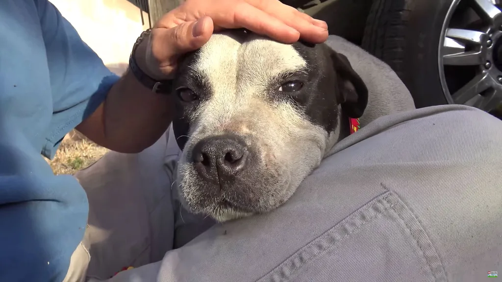 Leesa gives her rescuer a hug