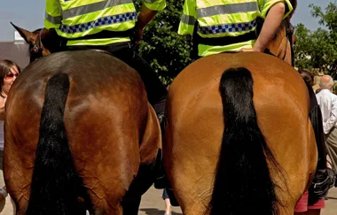 Woman refuses to kiss boyfriend for a month after he eats horse manure for $65