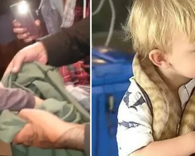 Brave toddler catches a snake