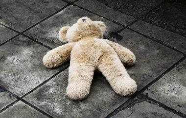 Parents tortured their seven-year-old son before feeding him to pigs
