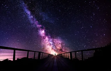 Your Stars