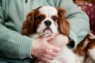 Girl’s cunning plan to smuggle beloved pooch in to grandma recovering in hospital