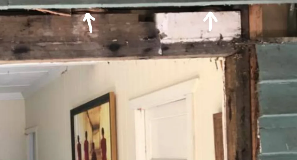 Snakes hidden in door frame