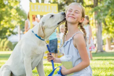 Find the perfect dog for your family