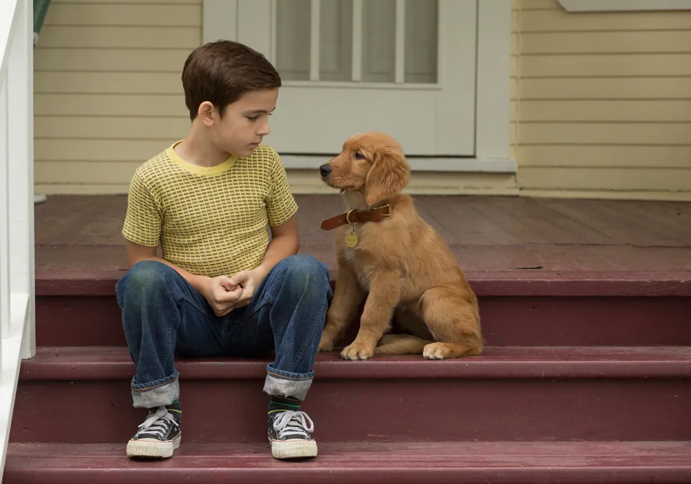 A Dog's Purpose