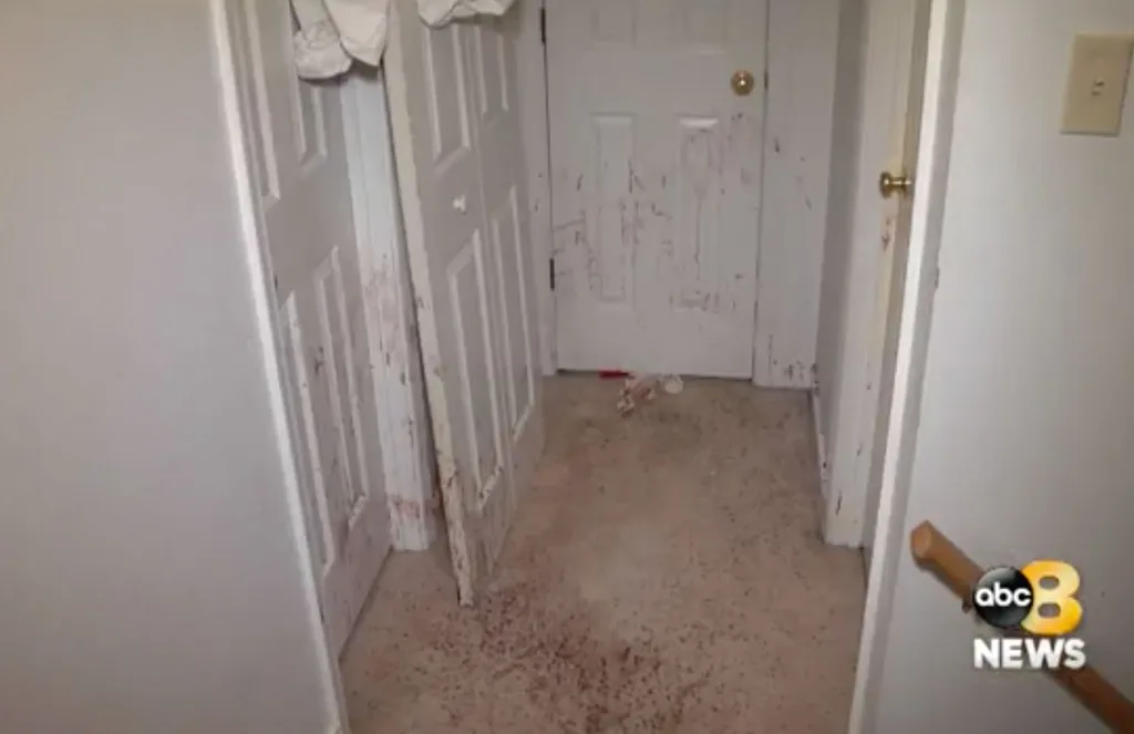Blood in the hallway