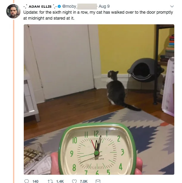 The cats went to the door at midnight every night.