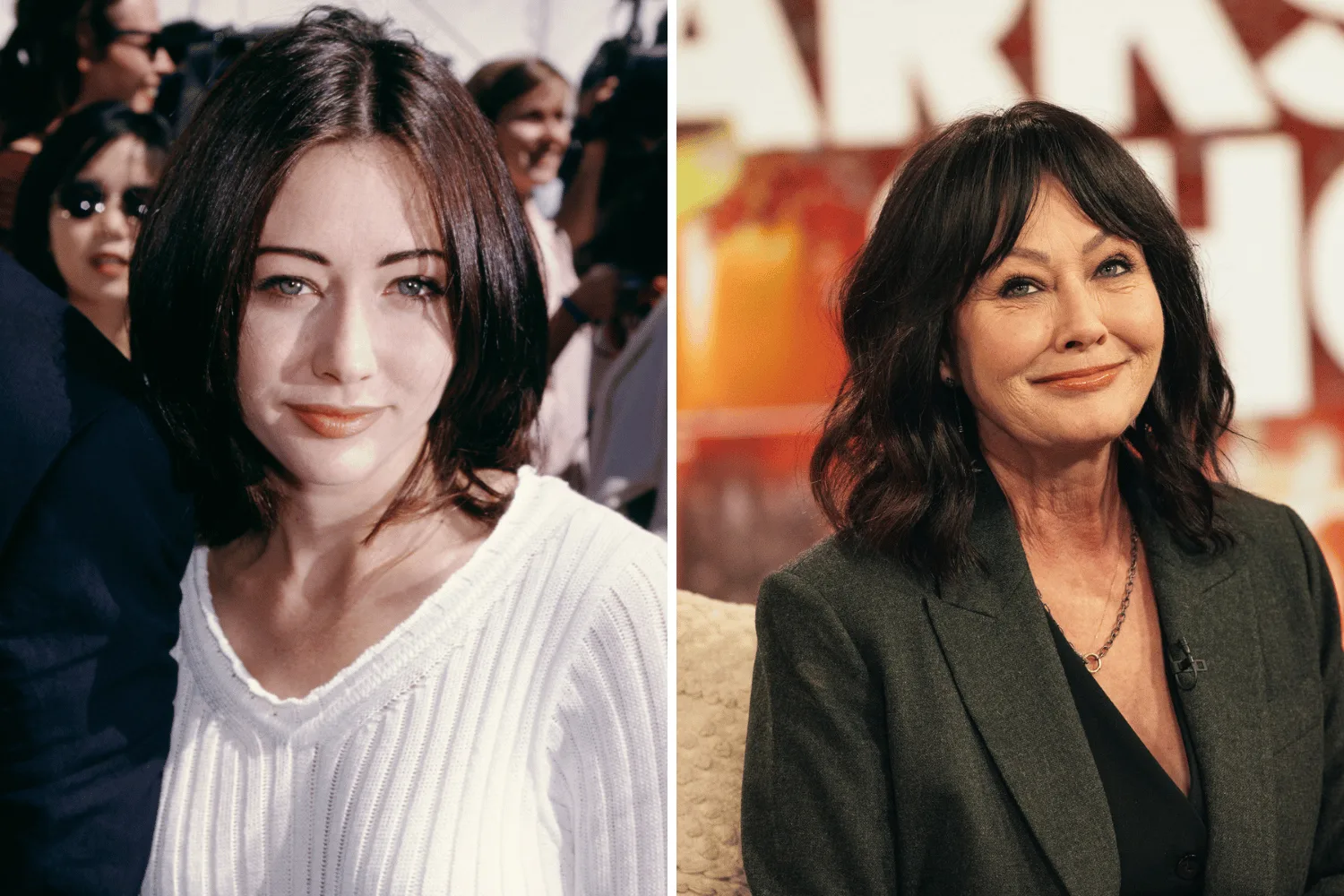 shannen doherty 90210