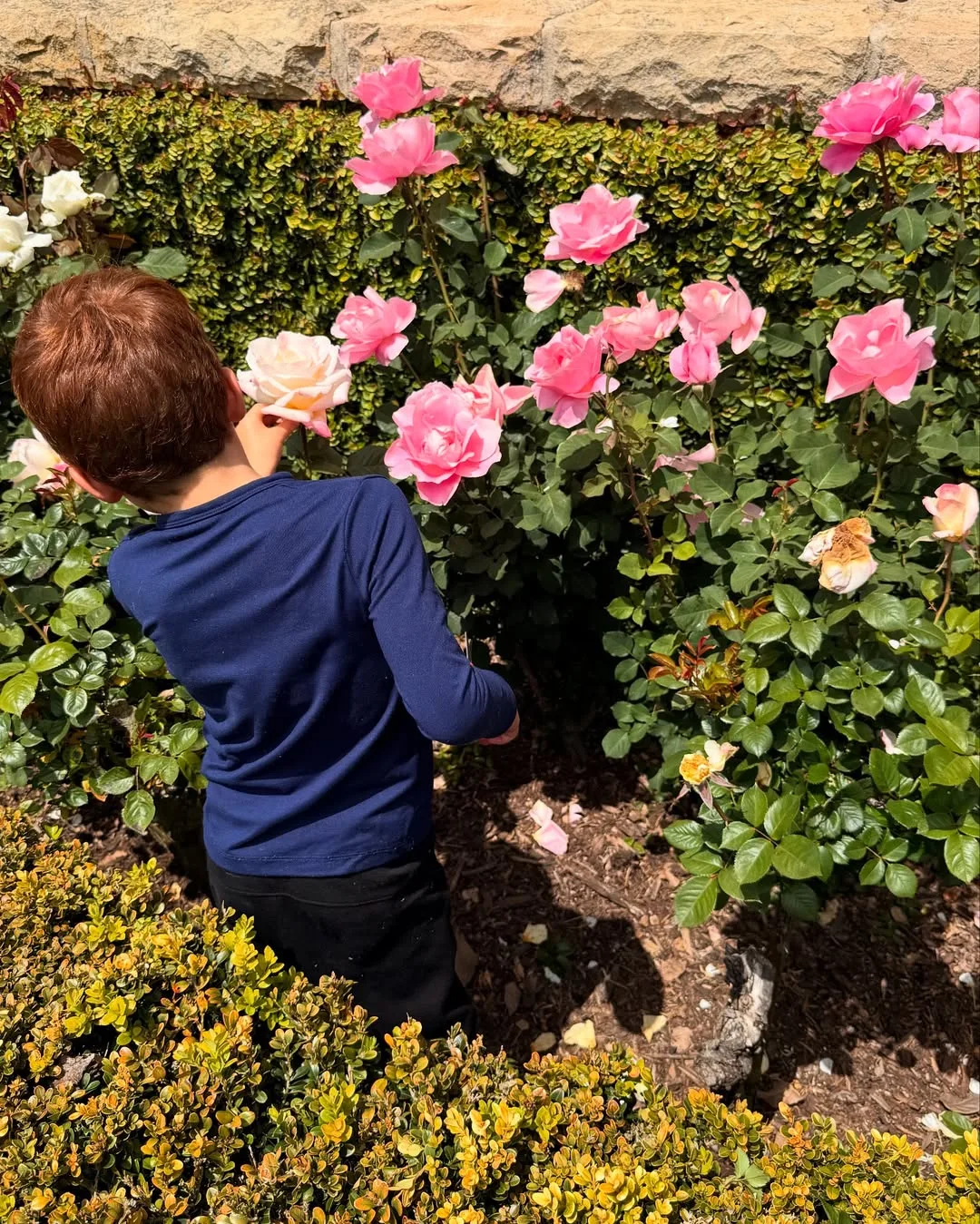 Archie Sussex plays in the garden 