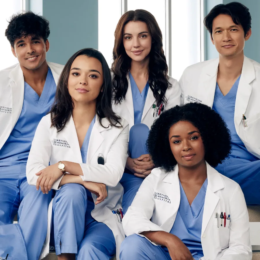 Greys Anatomy