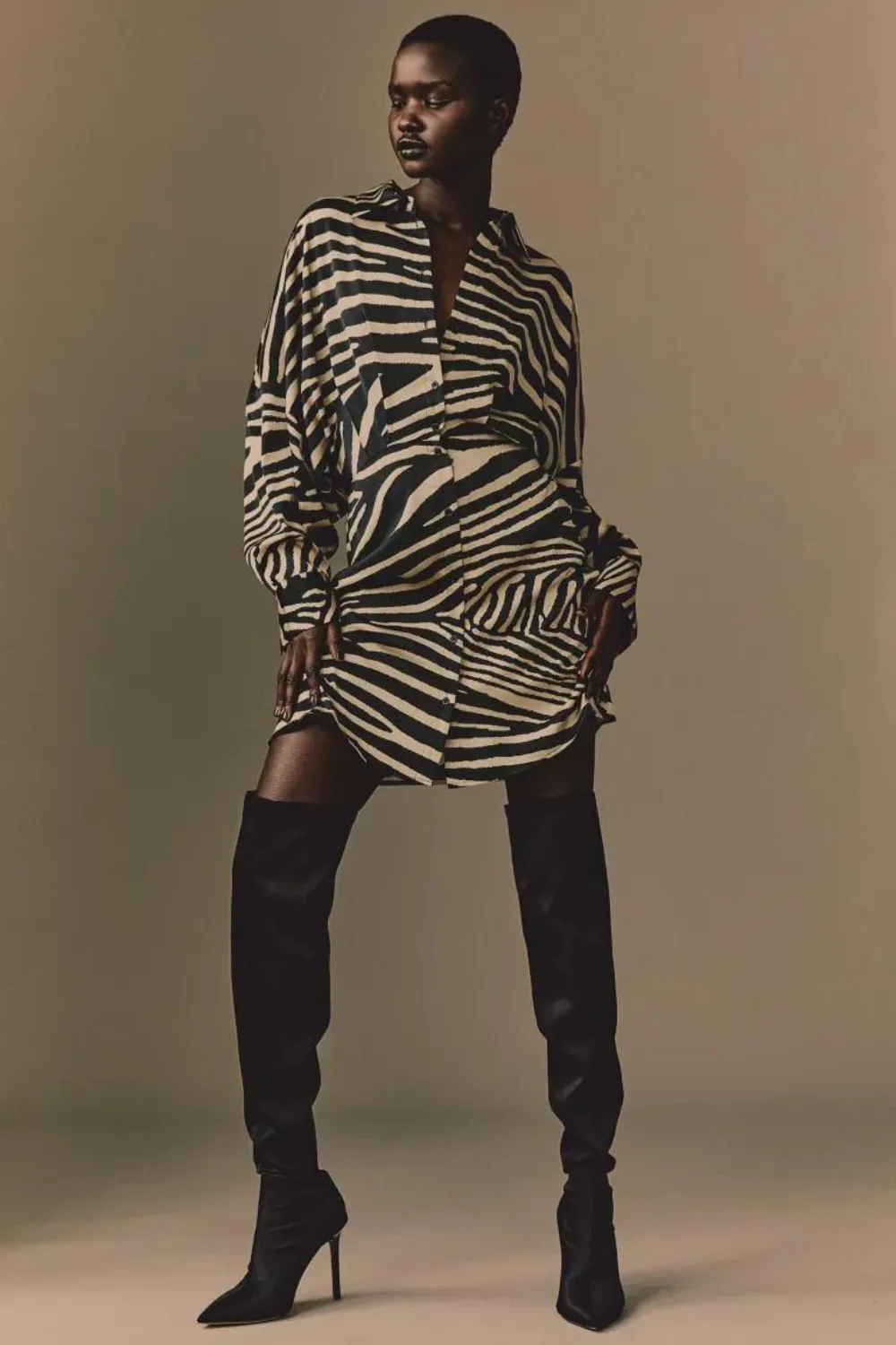 hm shirt dress zebra