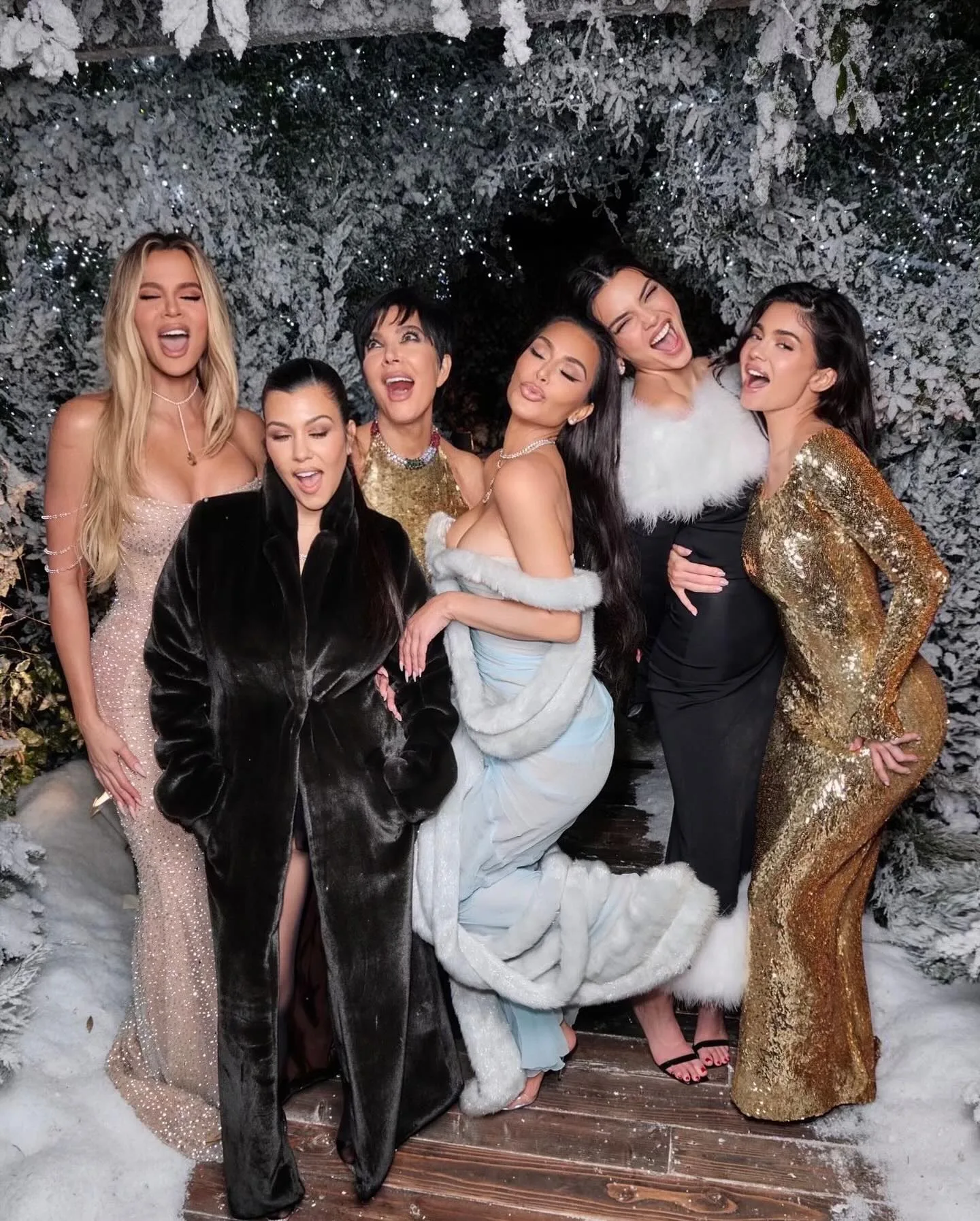The Kardashian / Jenners
