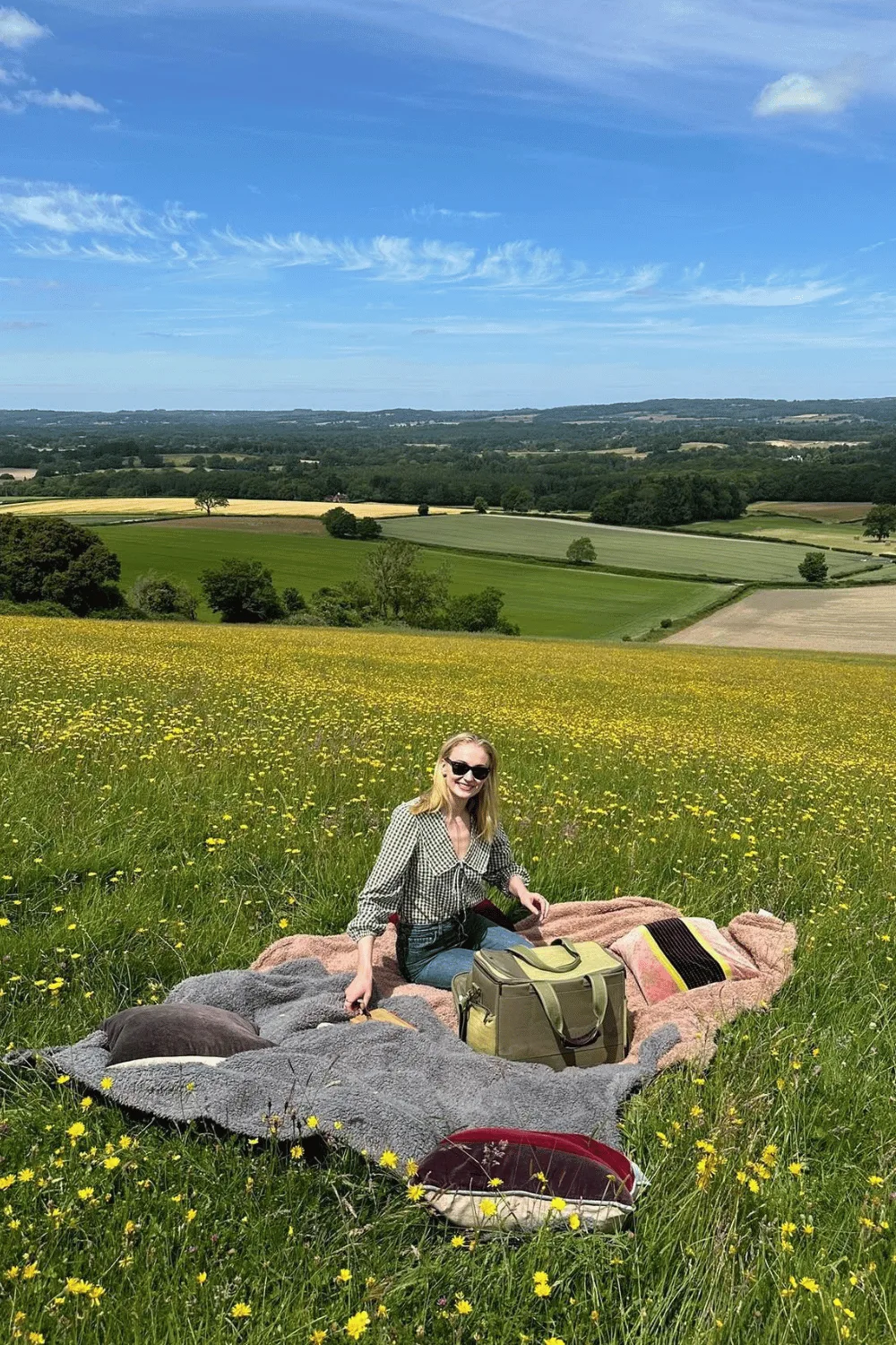 Sophie Turner picnic date.