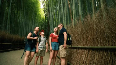 Japan Intrepid Tour