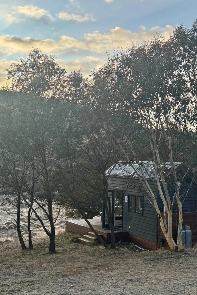 Tiny house surrounded by bushland.