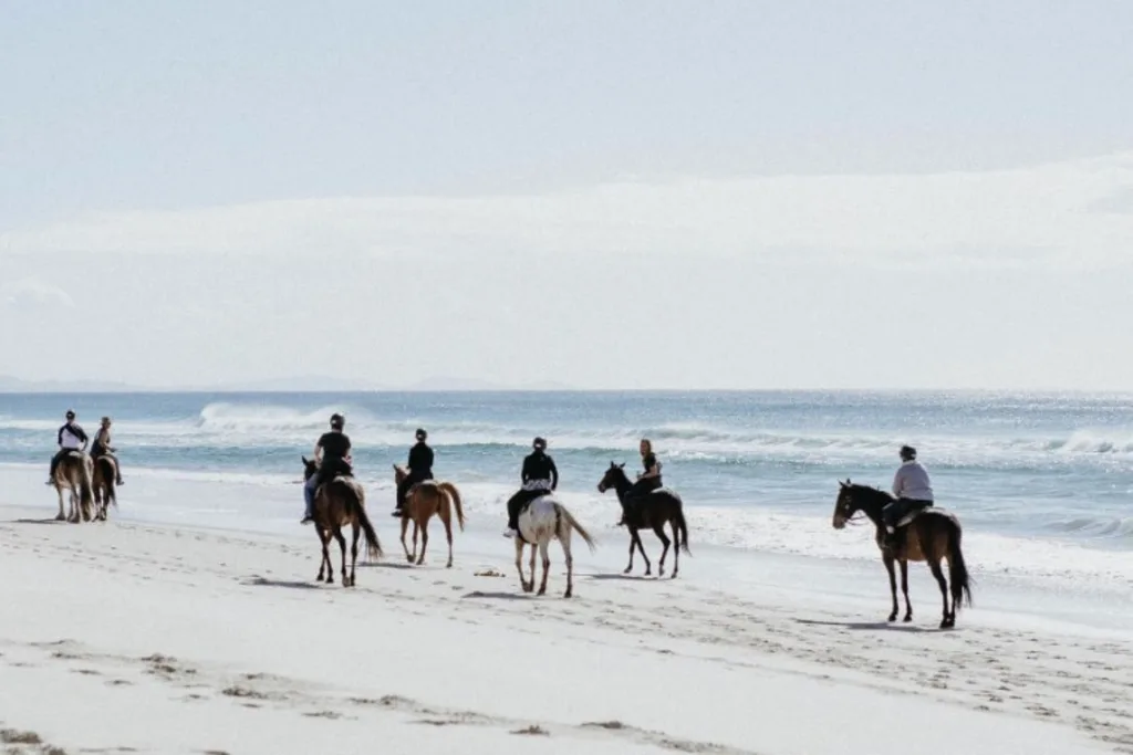 horse riding in byron bay