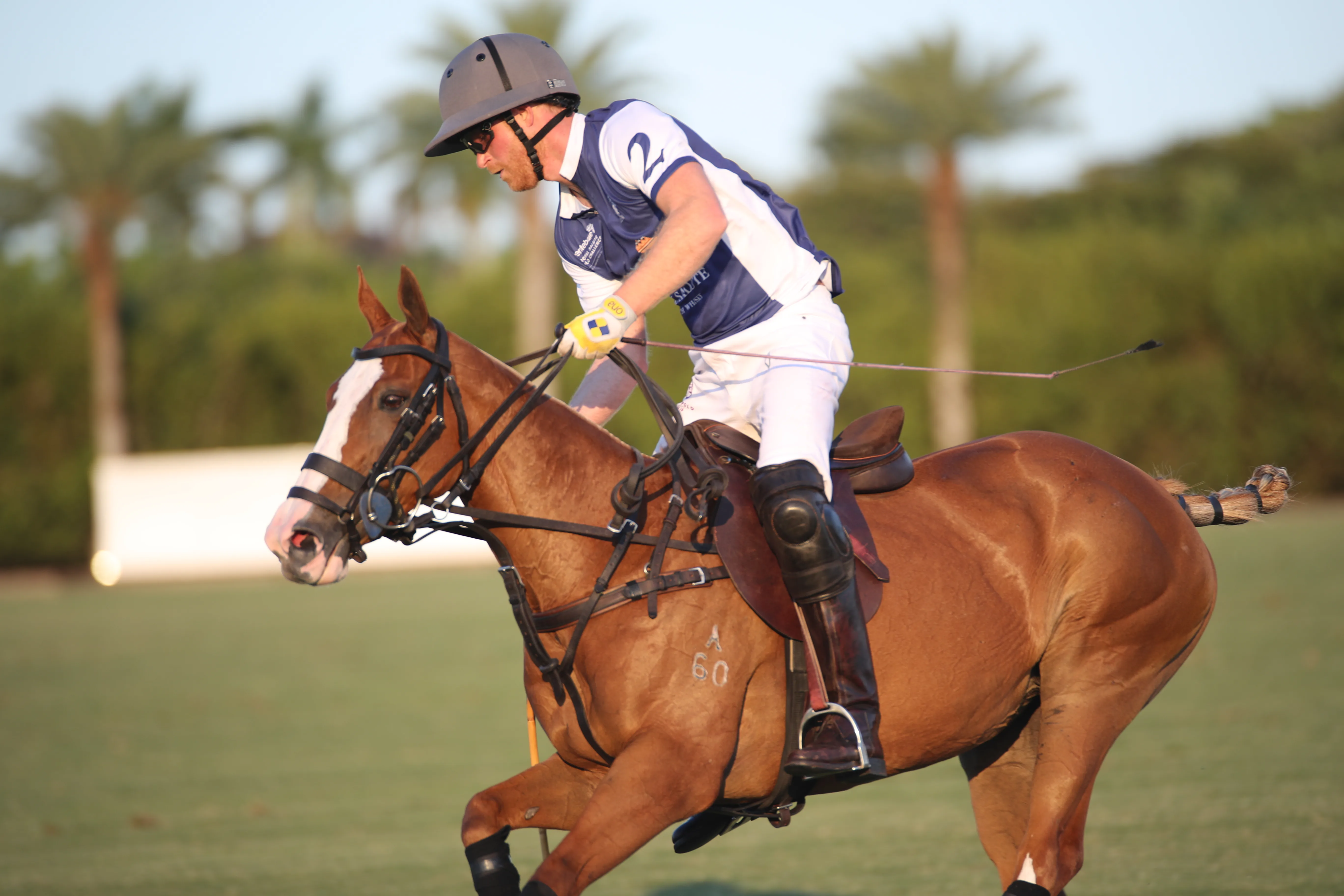 Prince Harry playing polo