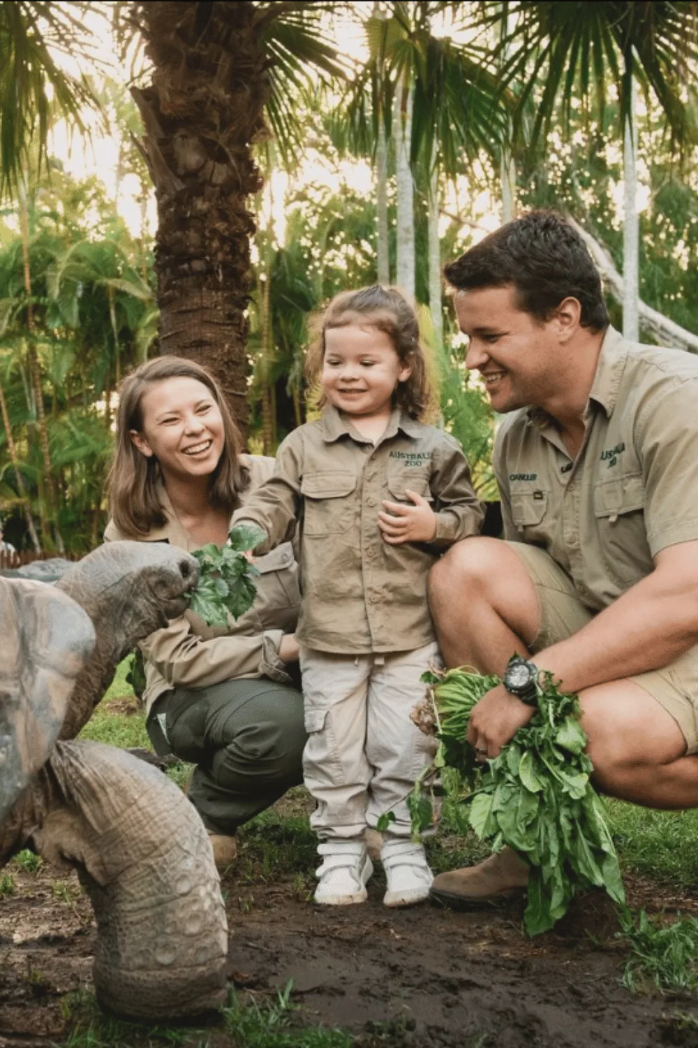 Bindi Irwin, Grace Warrior, and Chandler Powell feeding a tortoise.