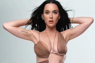 Katy Perry in a brown cut out dress