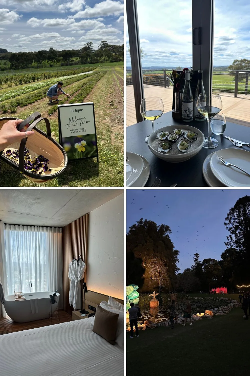 adelaide tourist attractions