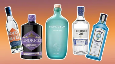 A collection of five gin bottles against an orange background