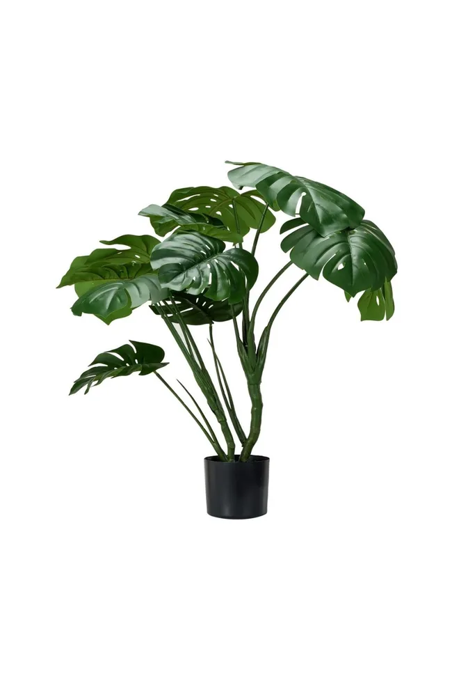 Kmart Tall Artificial Monstera in a black pot