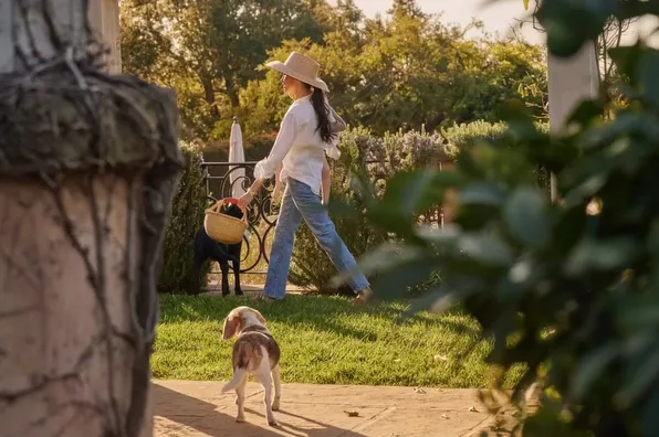 Guy with Meghan markle on her new Netflix show