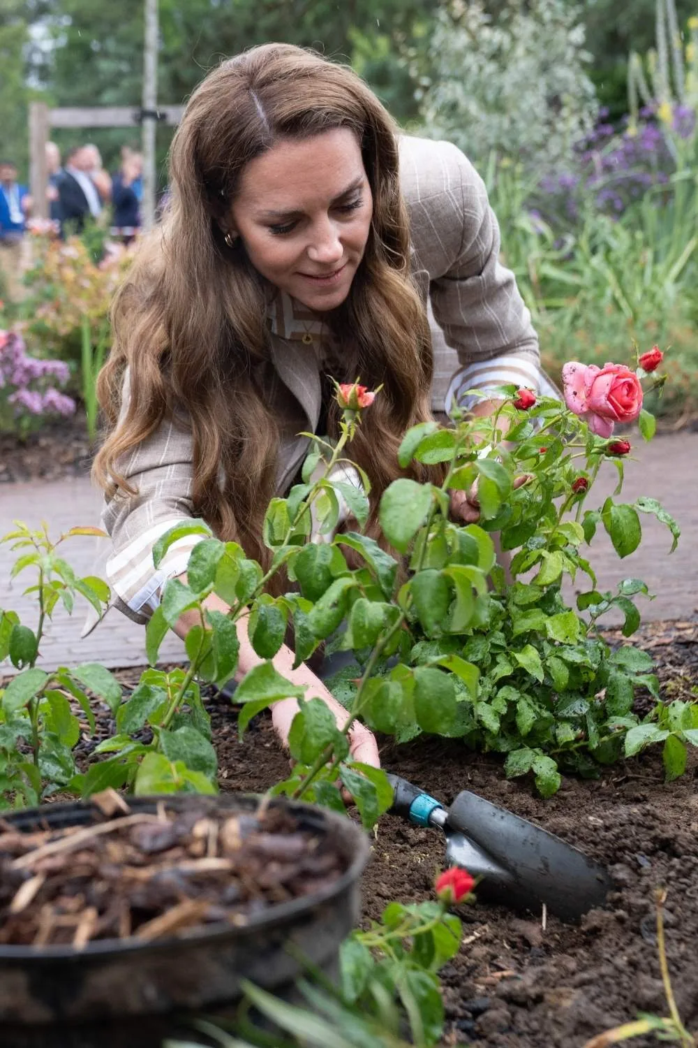Kate planting the Catherine Rose
