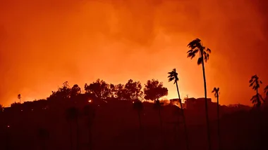 Hollywood responds to the ongoing devastation of the Los Angeles wildfires