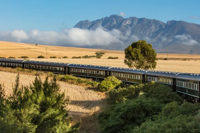 Train driving through South Africa