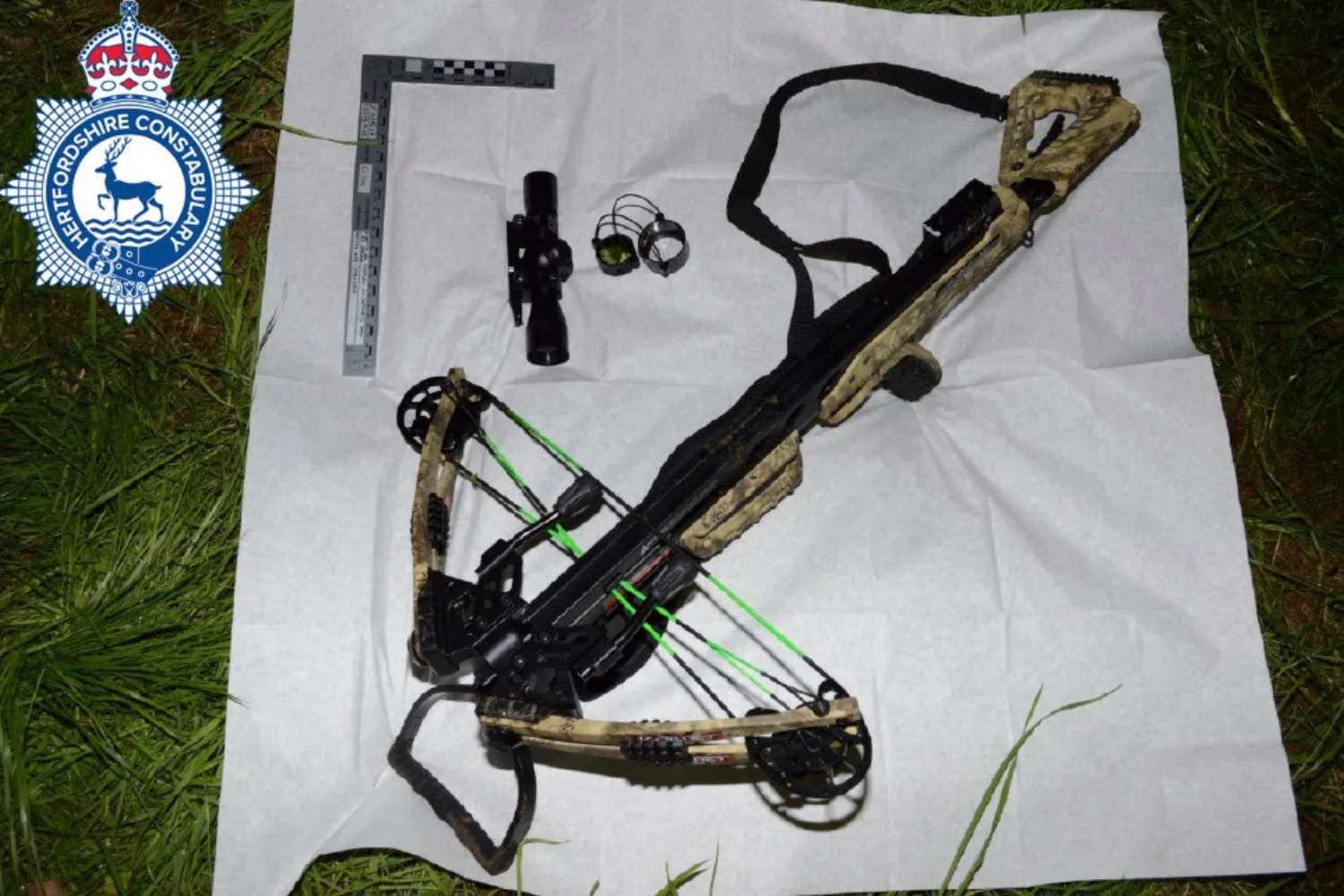 The crossbow Kyle CLifford used 