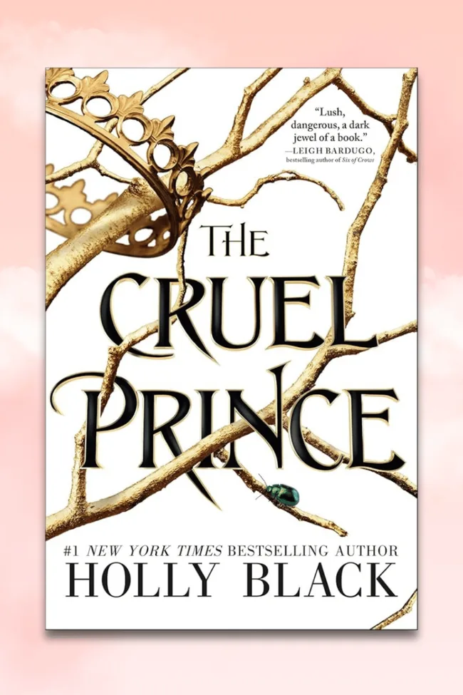 the cruel prince book