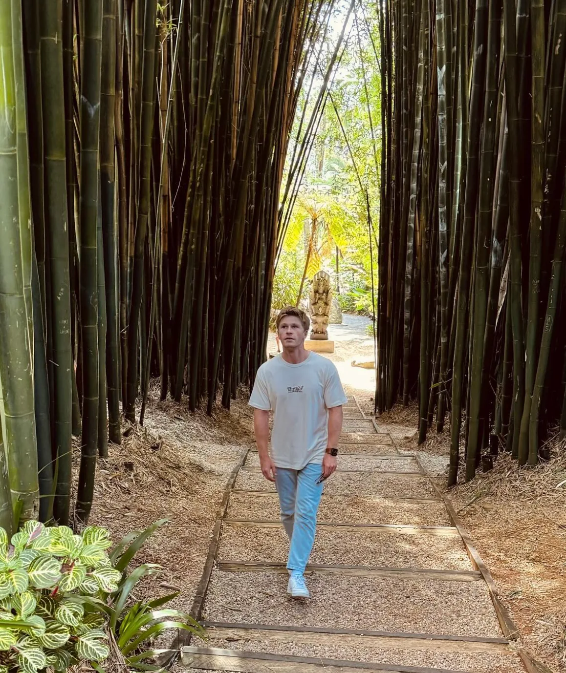 Robert Irwin bamboo forest