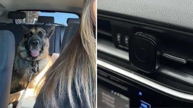 Thanks to my dog, I’d given up on having a nice-smelling car. Then I found this