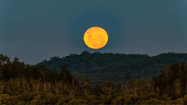 Grab your crystals and get ready to set some intentions, there’s a Buck Full Moon coming