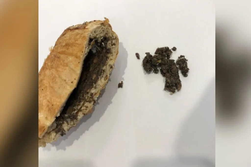 Erin Patterson's leftovers