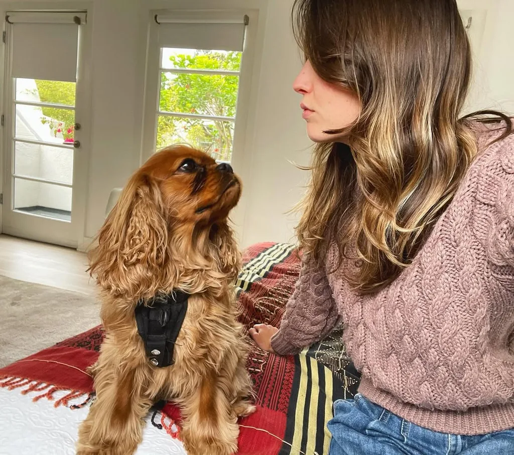 david corenswet wife julia warner at home with their dog