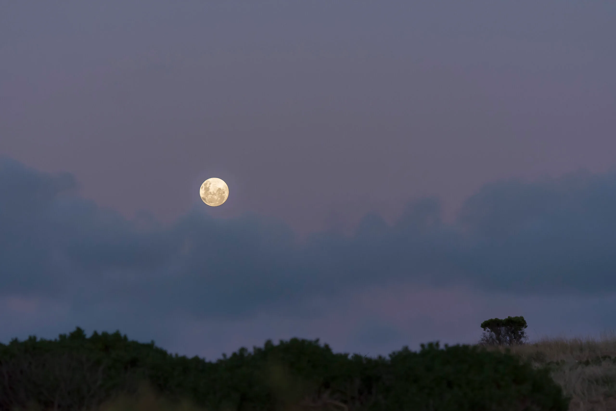 full moon