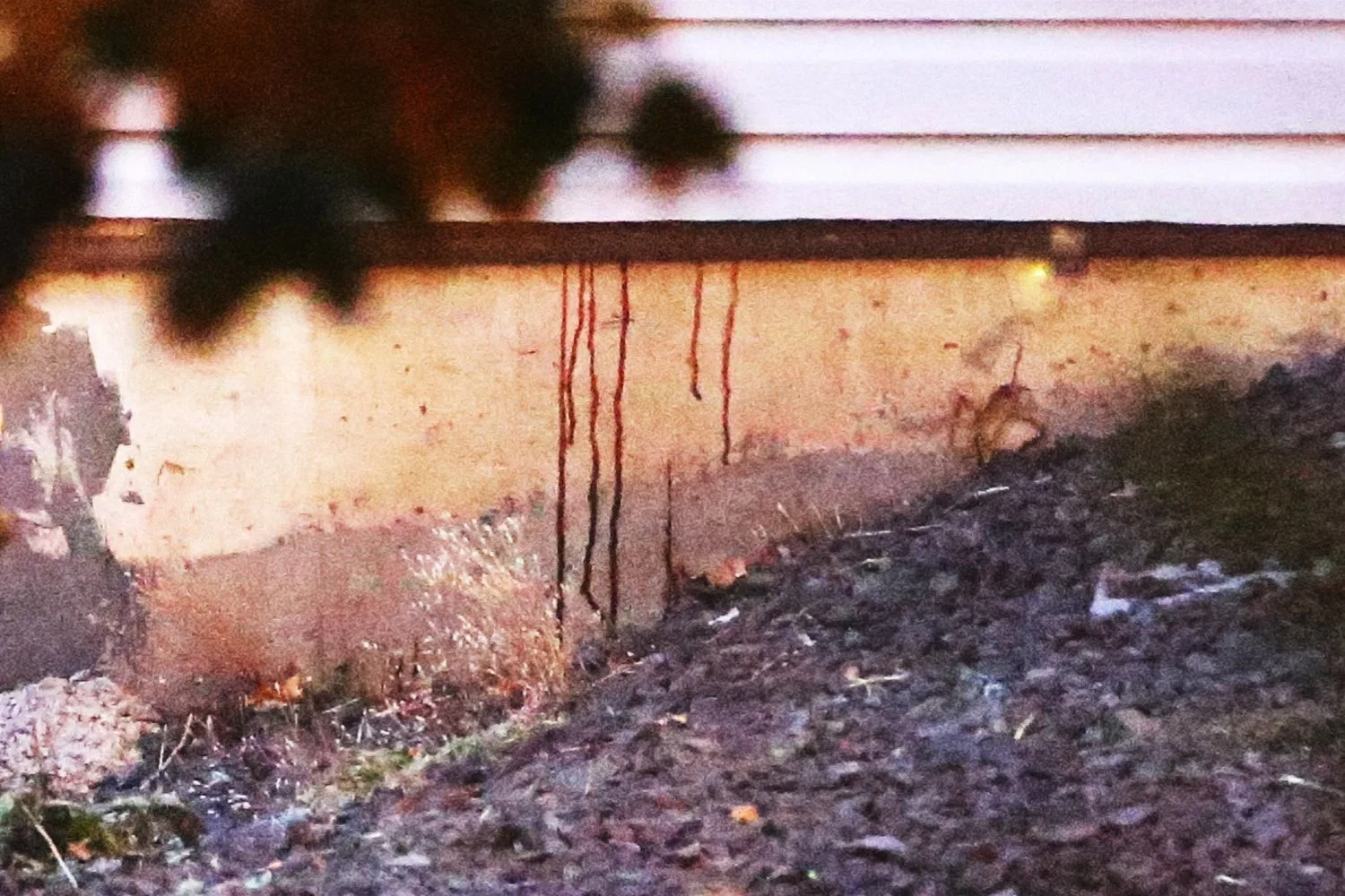 blood seen dripping from the house after the murders